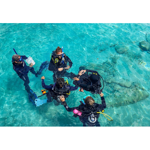 PADI Instructor Development Course, Cozumel